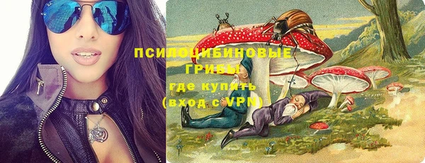 spice Горняк