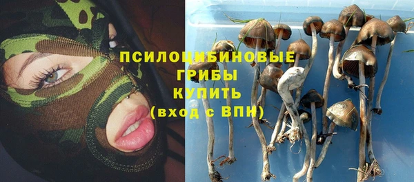 первитин Арсеньев