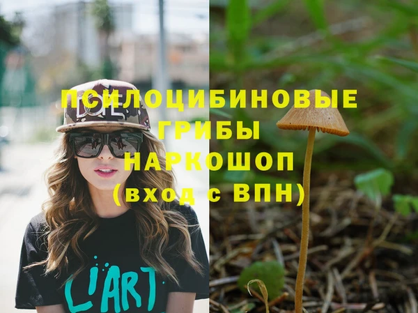 не бодяженный Армянск