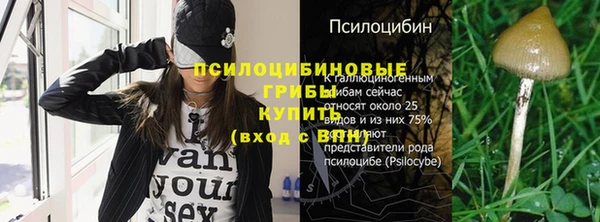 первитин Арсеньев